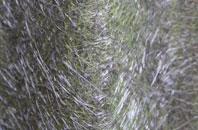 Malmesbury fibreglass roof work